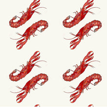 Vild Lab No.8 Organic Cotton T-Shirt | Rare Living Lobsters