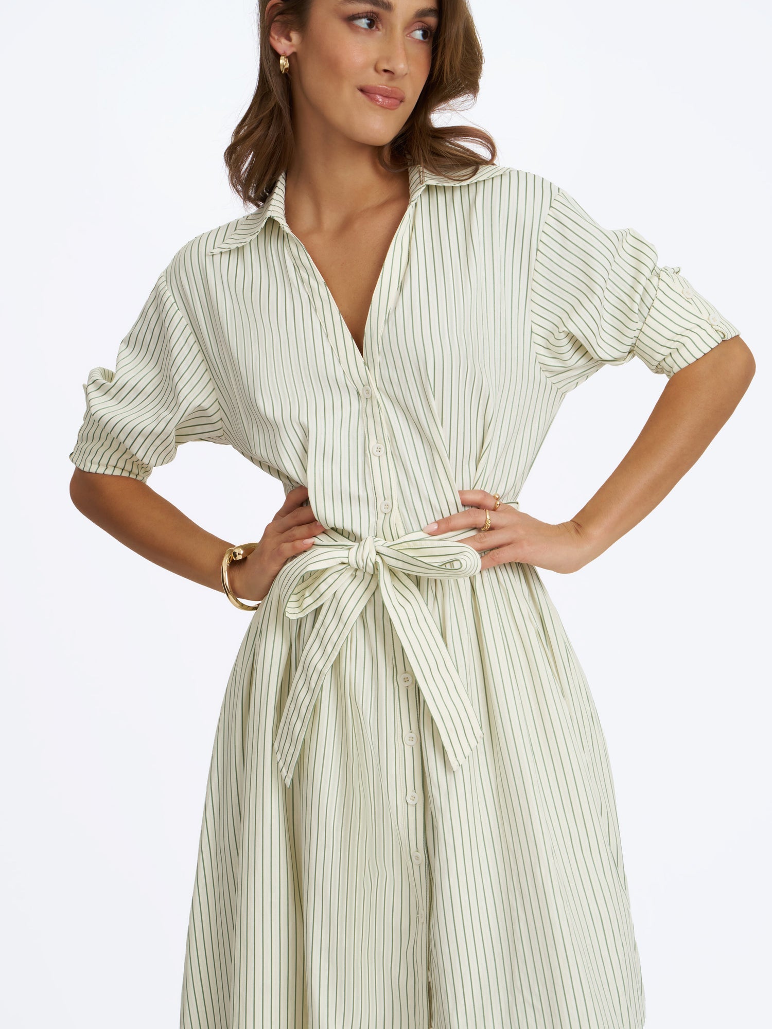 Danica Bamboo Poplin Striped Shirt Midi Dress | Pine Green
