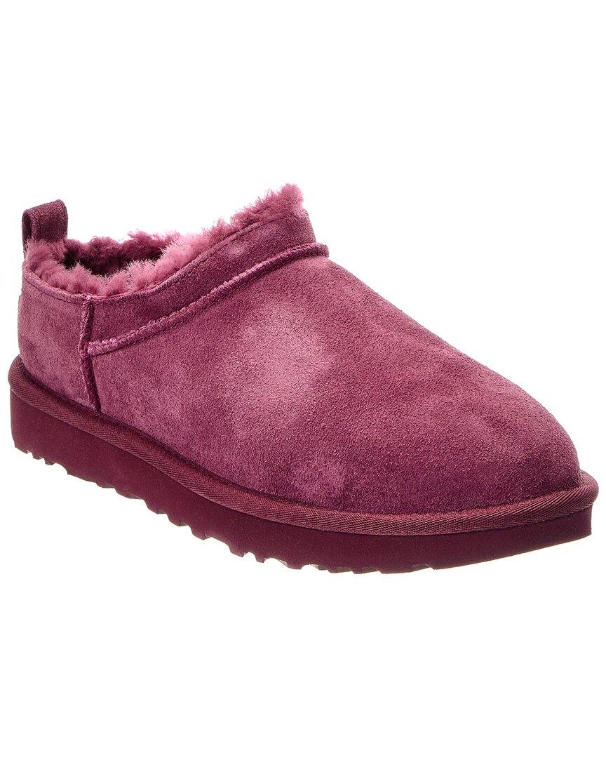 UGG | Womens | W Classic Micro Suede Mule | Purple