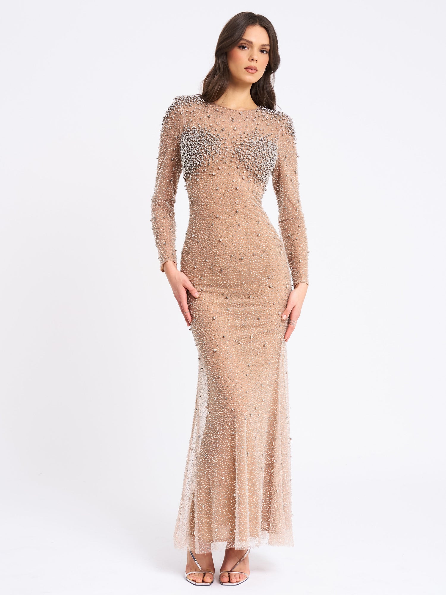 Rita Embroidered Mesh Beaded Mermaid Gown | Silver