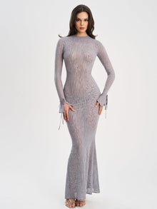 Waylynn Animal Print Burnout Velvet Detail Mesh Backless Maxi Dress | Gray