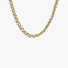 Awe Inspired Necklaces 14K Gold Vermeil / 16''-18'' 3mm Rolo Chain