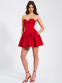 Sacha Lace Drop Waist Corset Puffy Mini Dress | Red