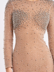 Rita Embroidered Mesh Beaded Mermaid Gown | Silver