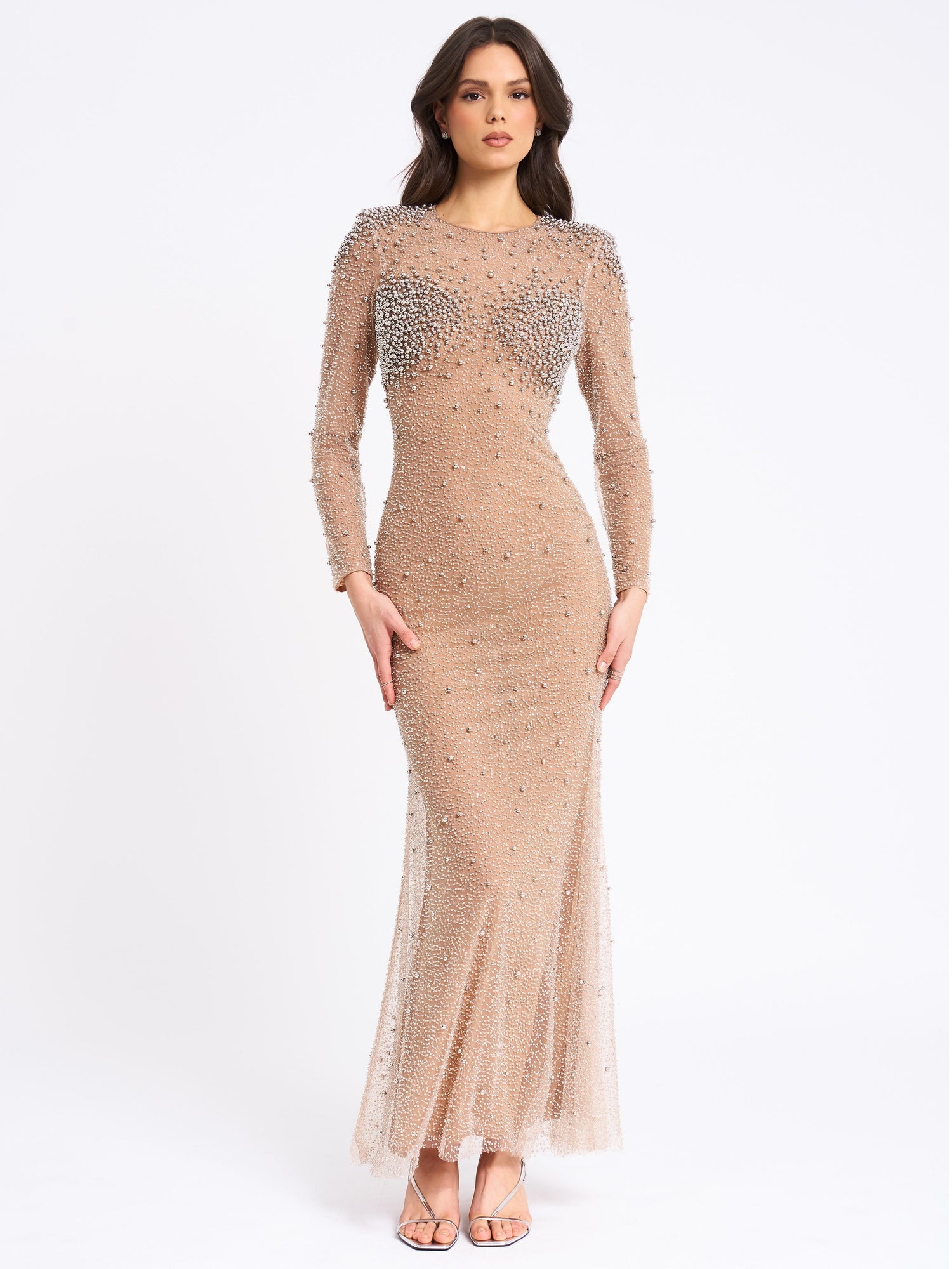 Rita Embroidered Mesh Beaded Mermaid Gown | Silver