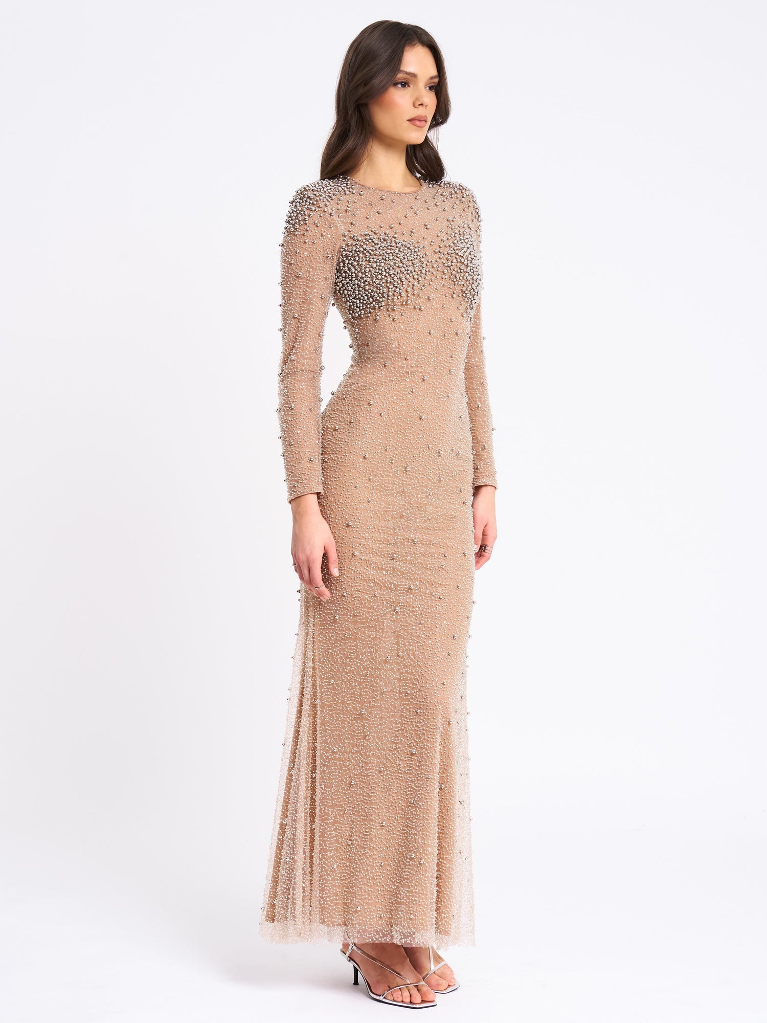 Rita Embroidered Mesh Beaded Mermaid Gown | Silver