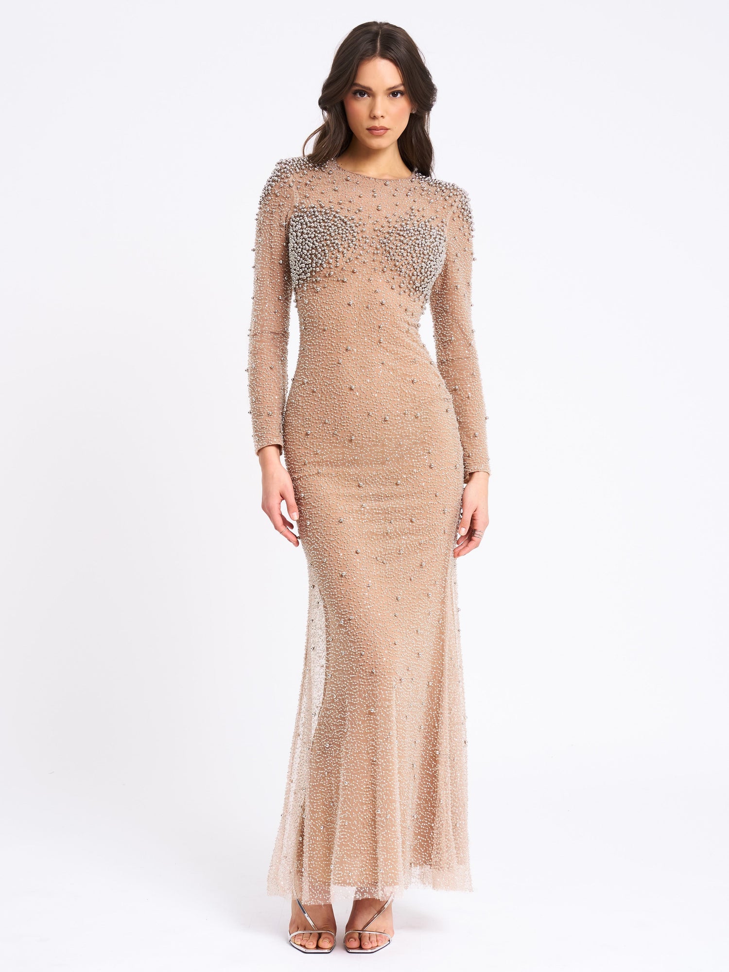 Rita Embroidered Mesh Beaded Mermaid Gown | Silver