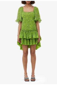 Chiffon Mini Dress | Tender Shoots