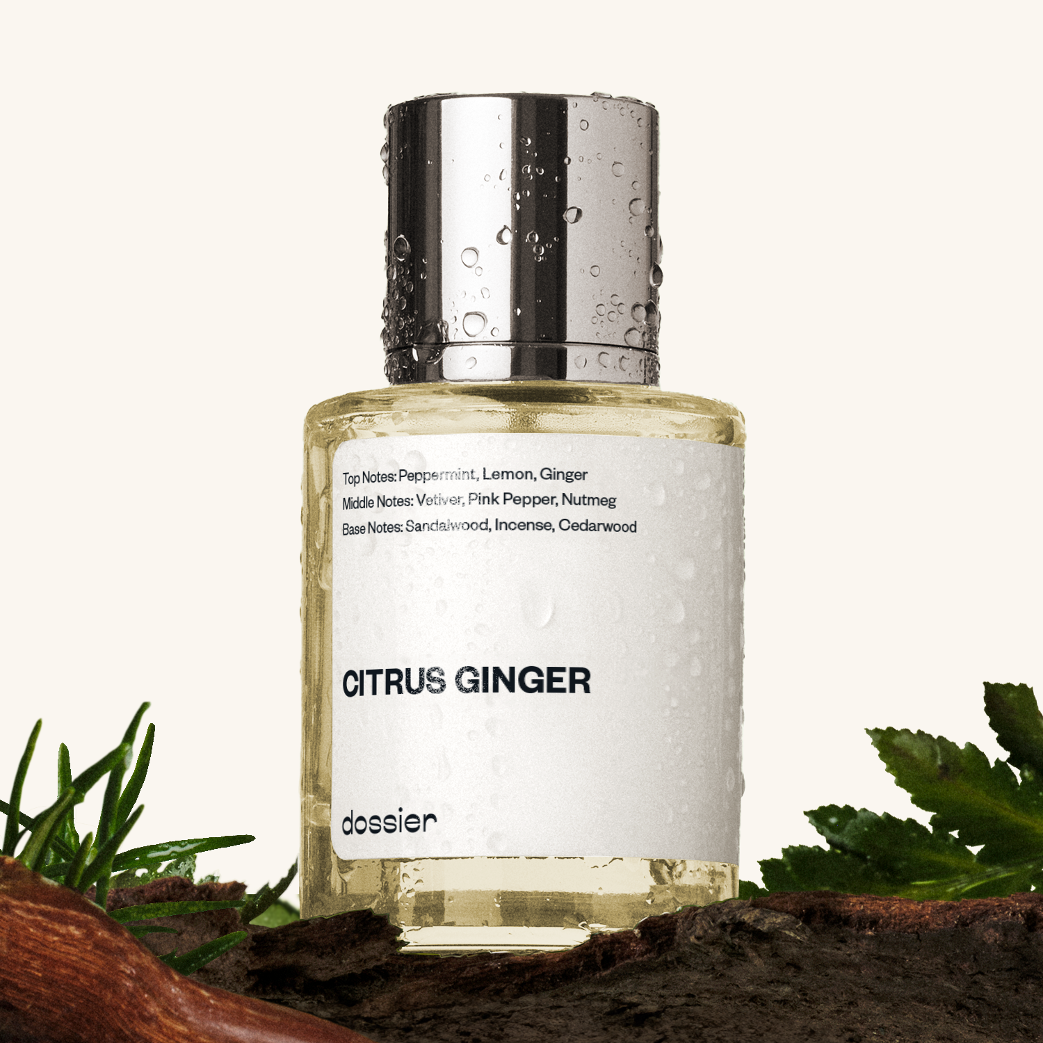 Men | Citrus Ginger | Inspired by Chanel's Bleu de Chanel (50 ml)