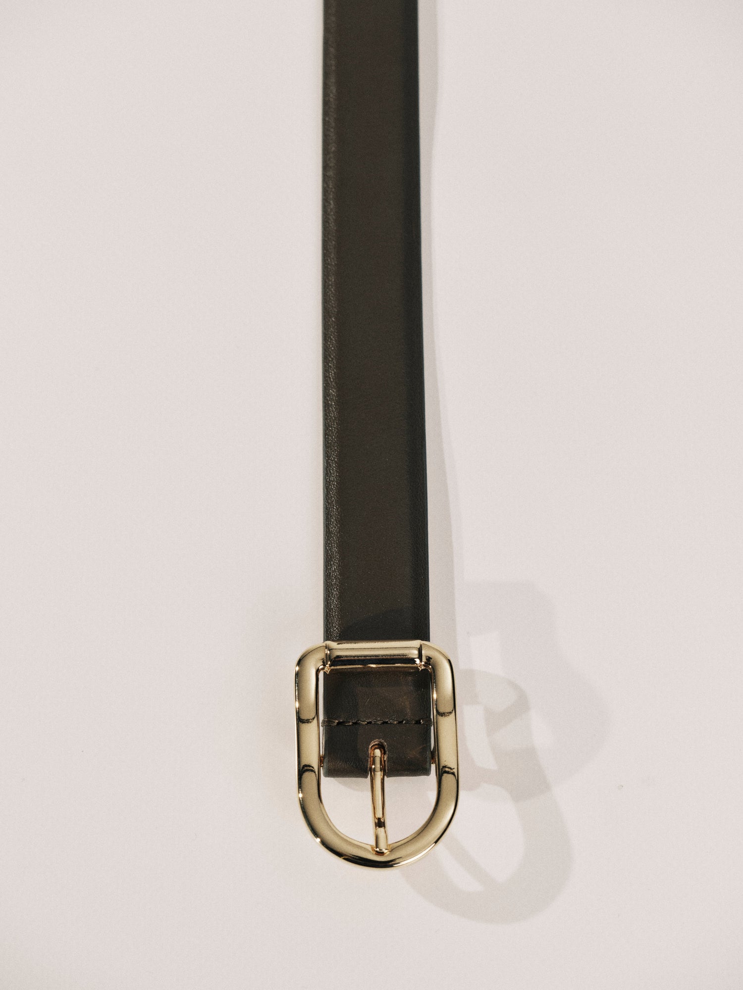 Mija Belt | Truffle & 24K Gold