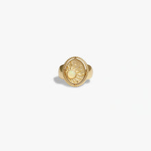 Awe Inspired Rings 14K Gold Vermeil / 6 Day to Night Ring
