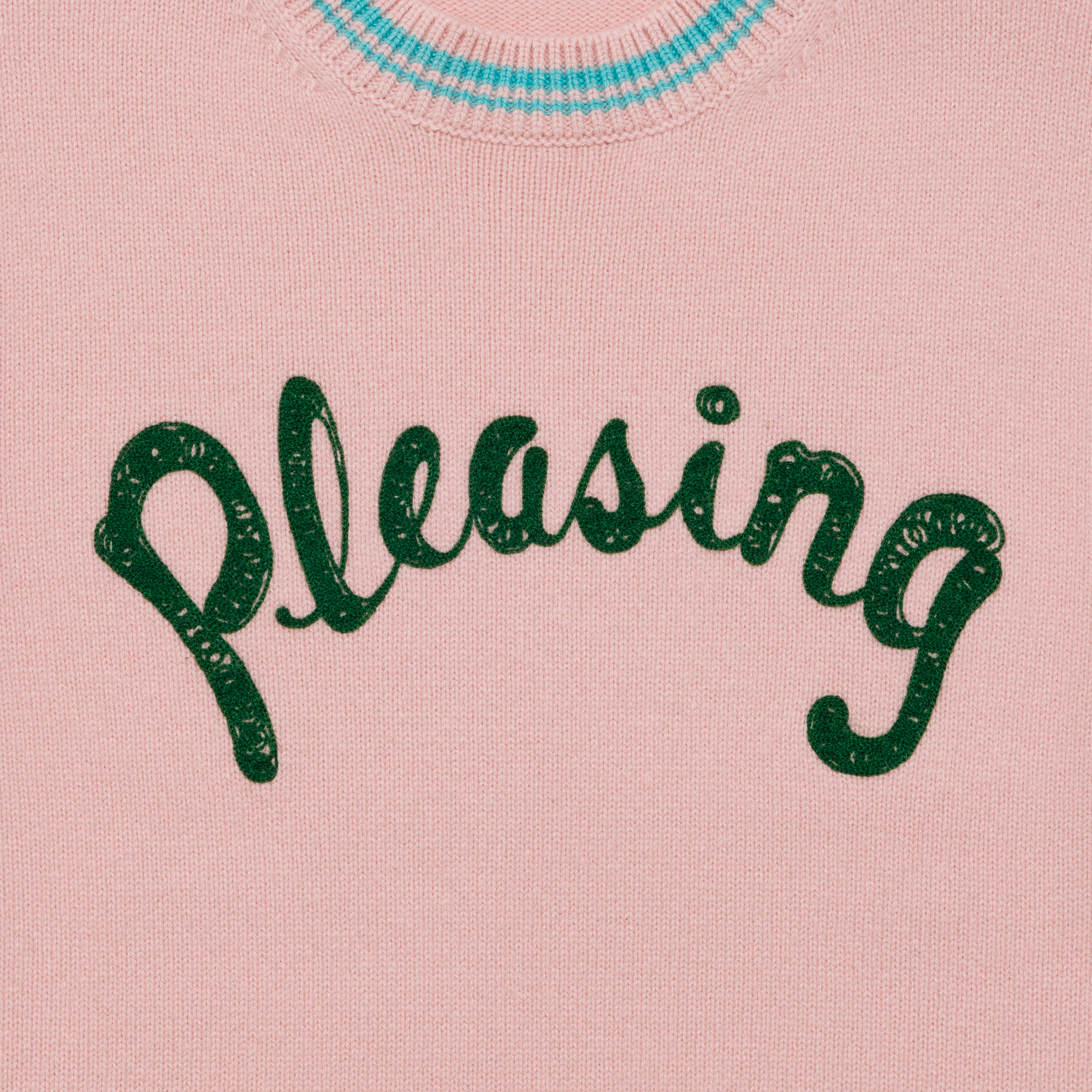 The Pretty Pleasing Crewneck Knit | Pink