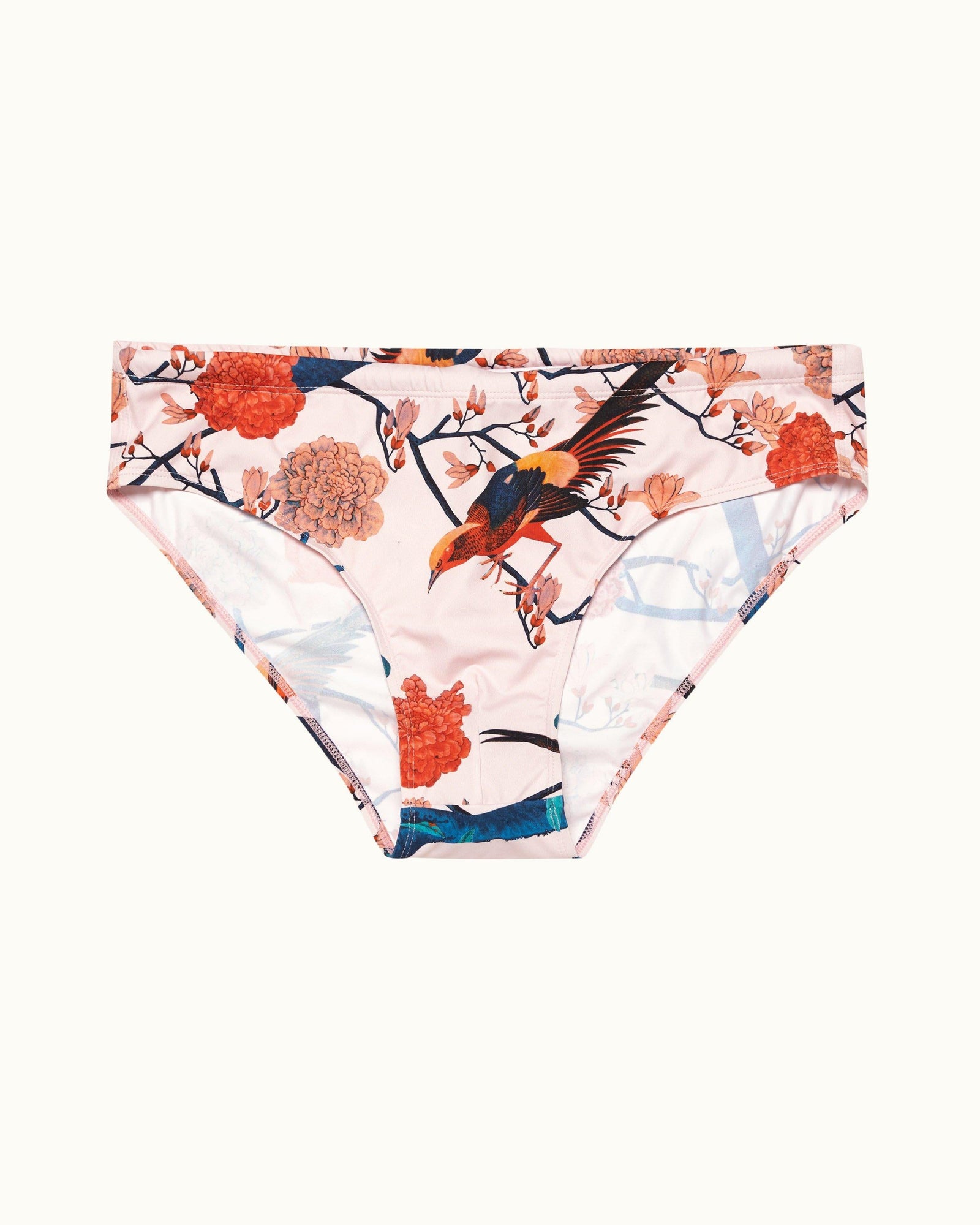 Rose Flight Of Fantasy Classic Swim Briefs | Rose
