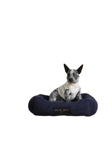 Pet | Cozychic Cotton Checkered Sweater | Oatmeal-Cream