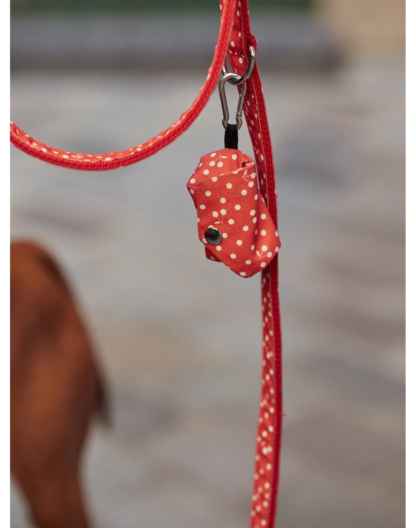 Pet Accessories | Bonpoint Leash 47 1/4 In | Red
