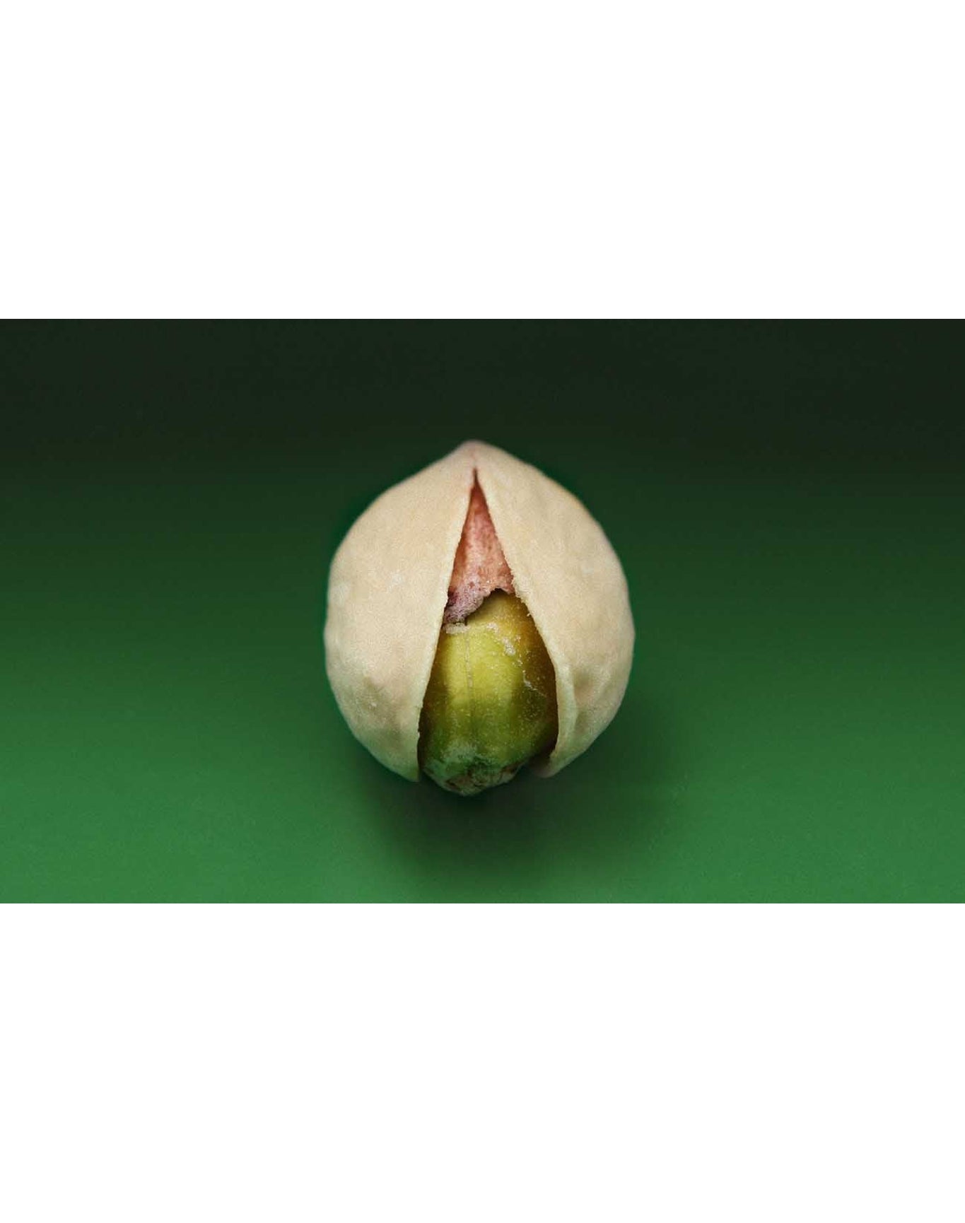 Pistachio | Eau de Parfum | 100 ml / 3.4 oz