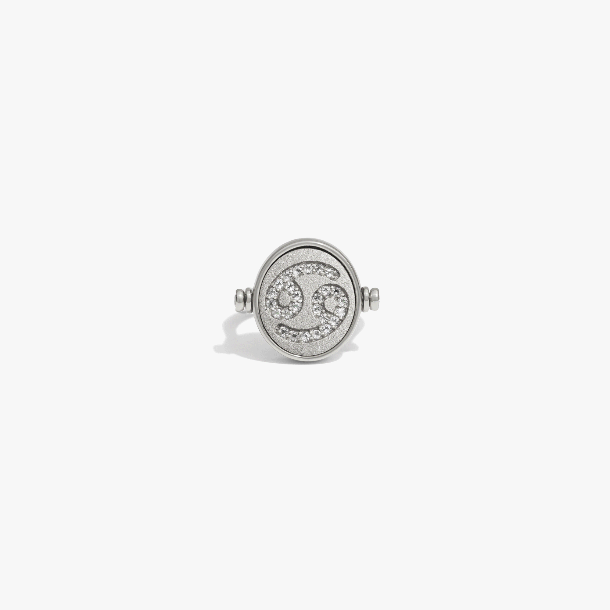 Awe Inspired  Rings Zodiac Element Flip Ring