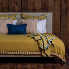 Aberdeen Euro Pillow | French Yellow / Teal