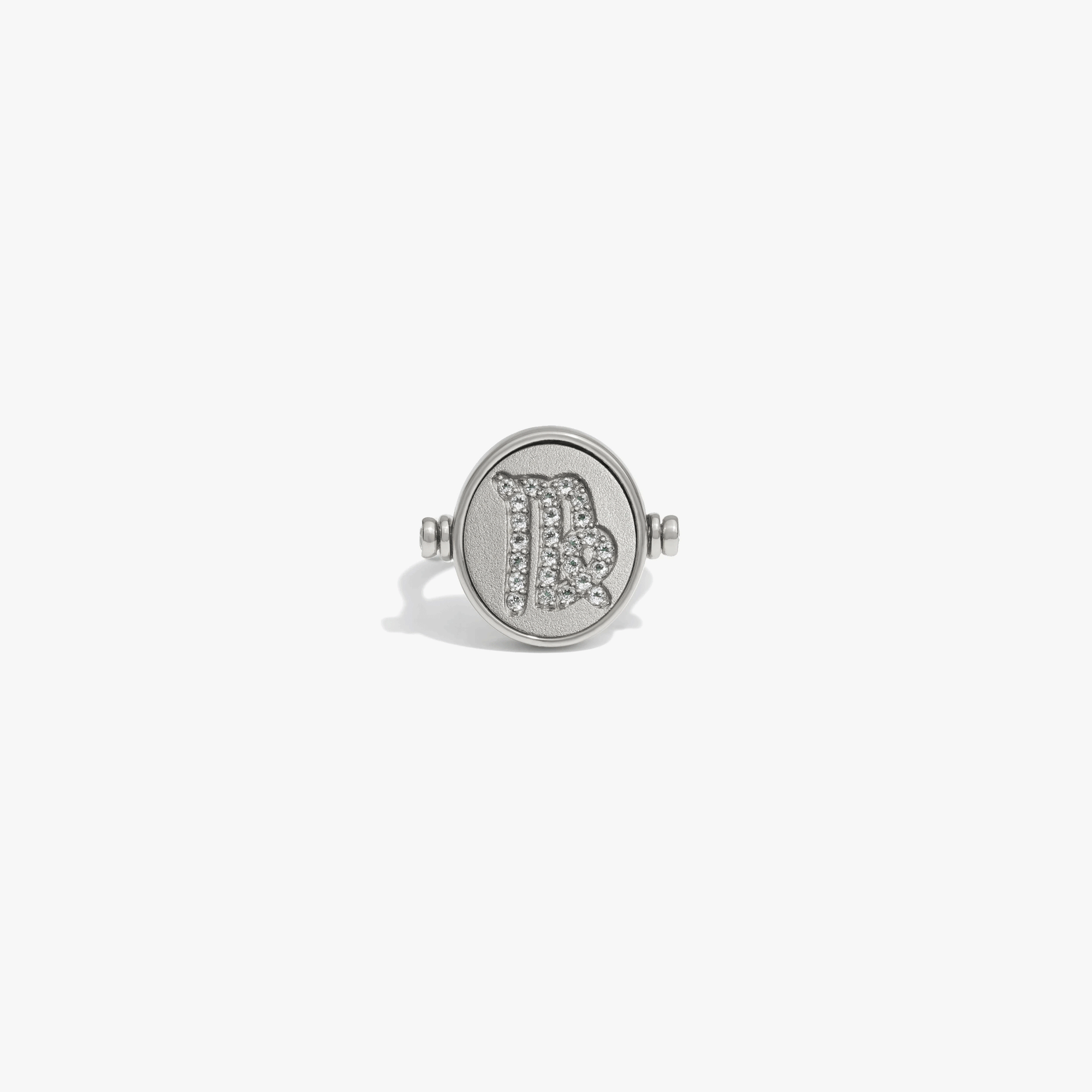 Awe Inspired  Rings Zodiac Element Flip Ring