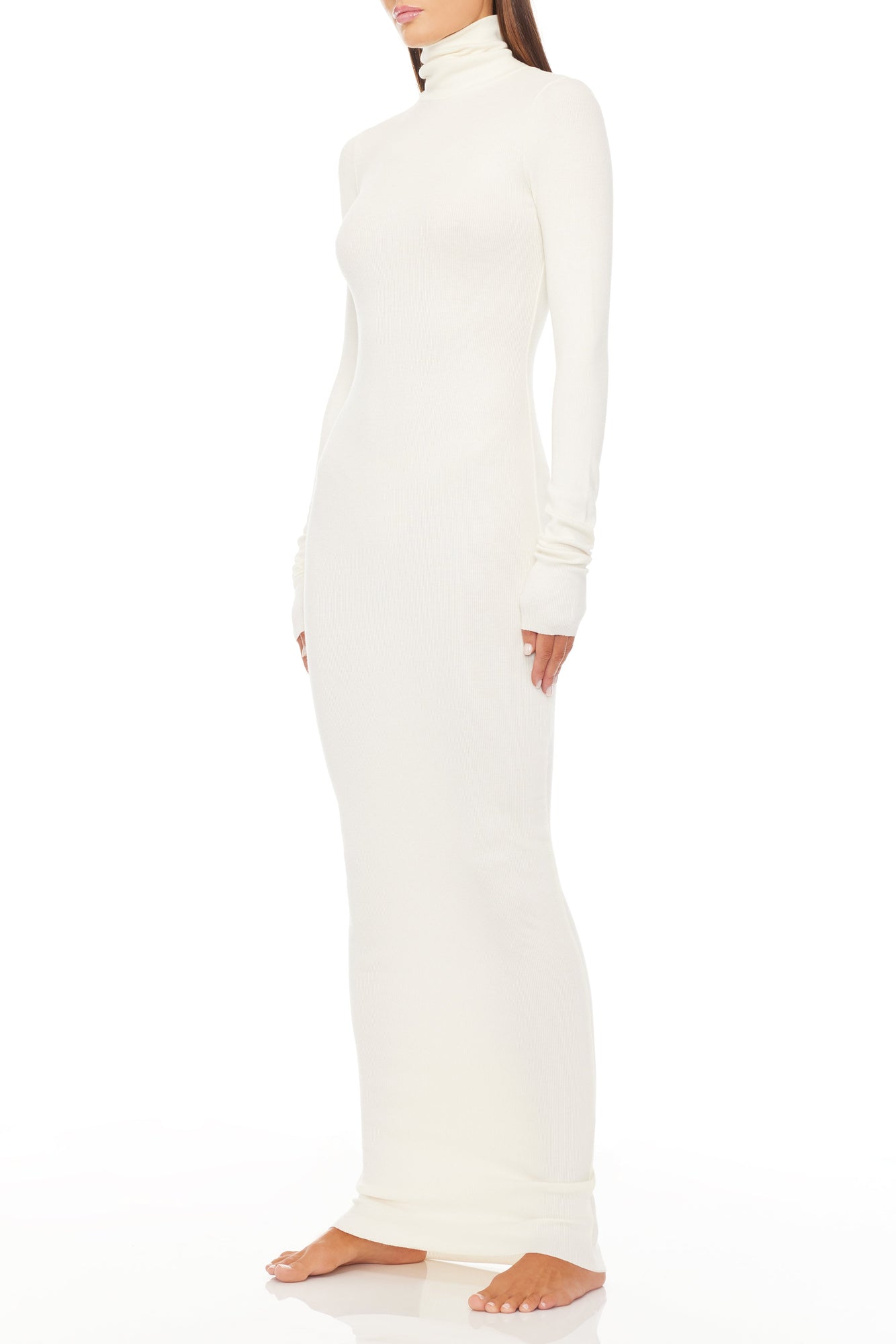 LONG SLEEVE TURTLENECK MAXI DRESS - ETERNE