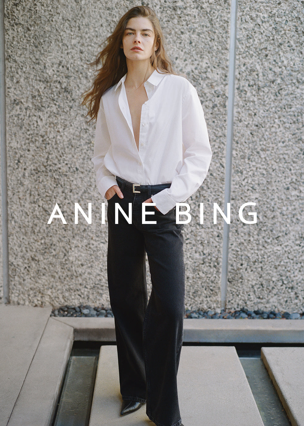 Anine Bing, LA